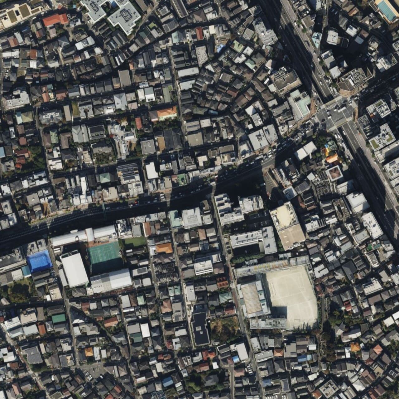 Meguro Parasitological Museum
